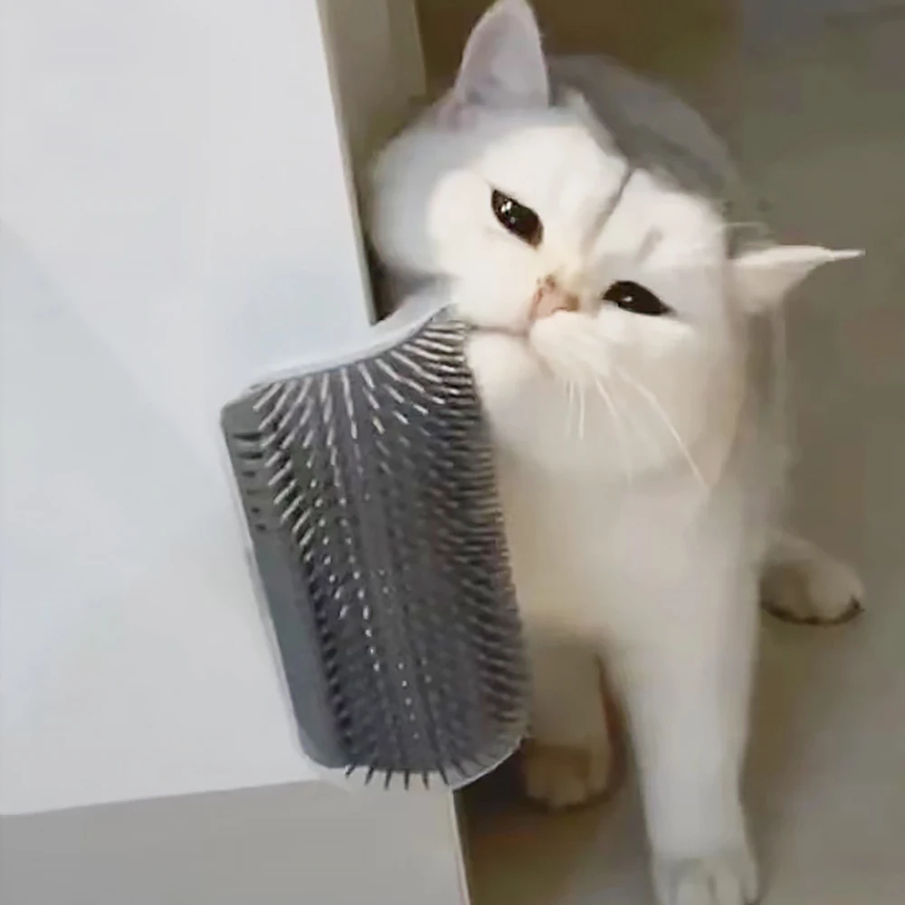 En Çok Satan Kedi Masaj Aleti  - Hair Care Good Hair incelemesi ve fiyatı